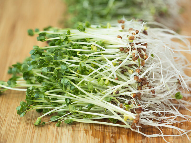 Broccoli Sprouts May Help You Live Longer (Backed By Medical Proof)