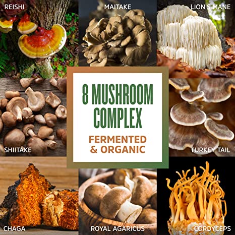 8-Plex Organic Mushroom Powder for & Brain Power, Boost Immune Support, Energy, Endurance